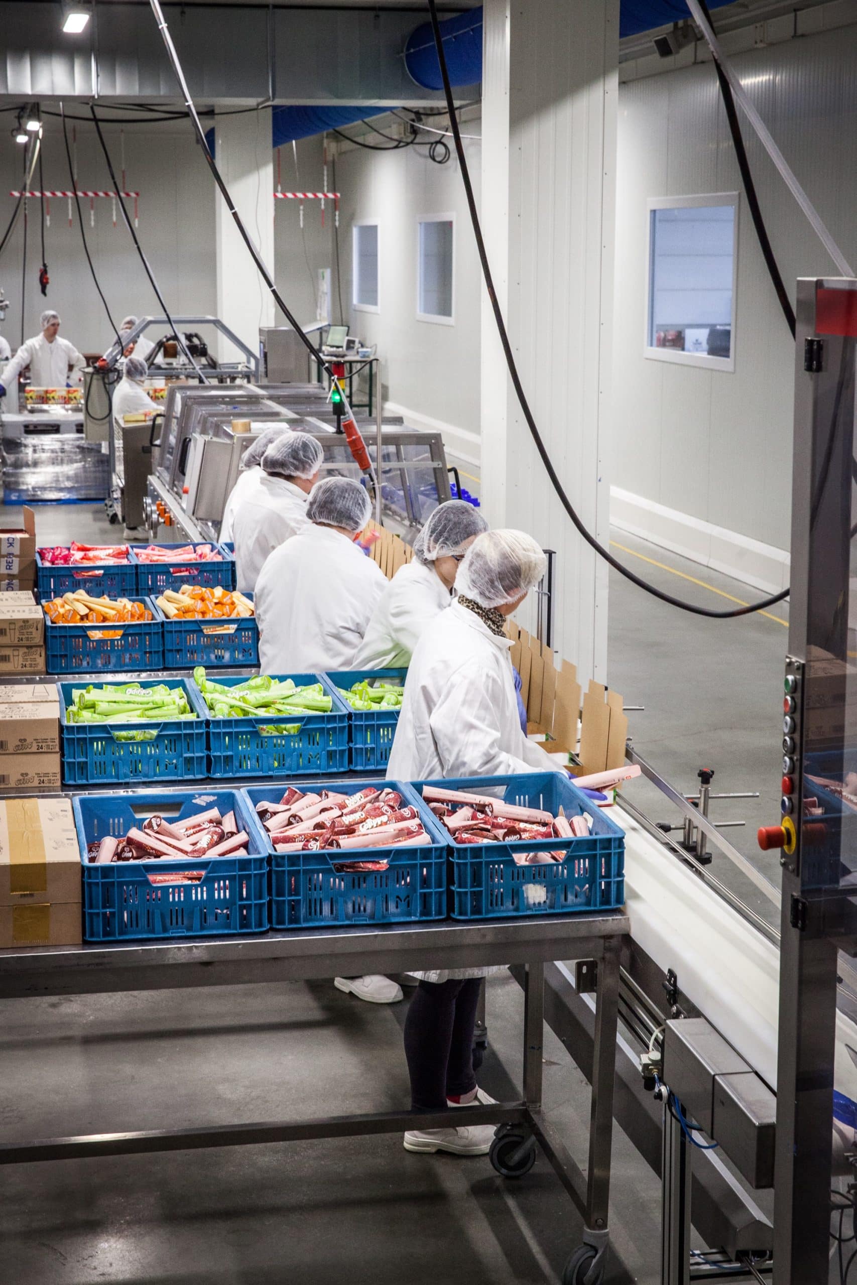 Nuestras cintas transportadoras para la industria alimentaria en acción en Calippo. Varias personas trabajan junto a ella.